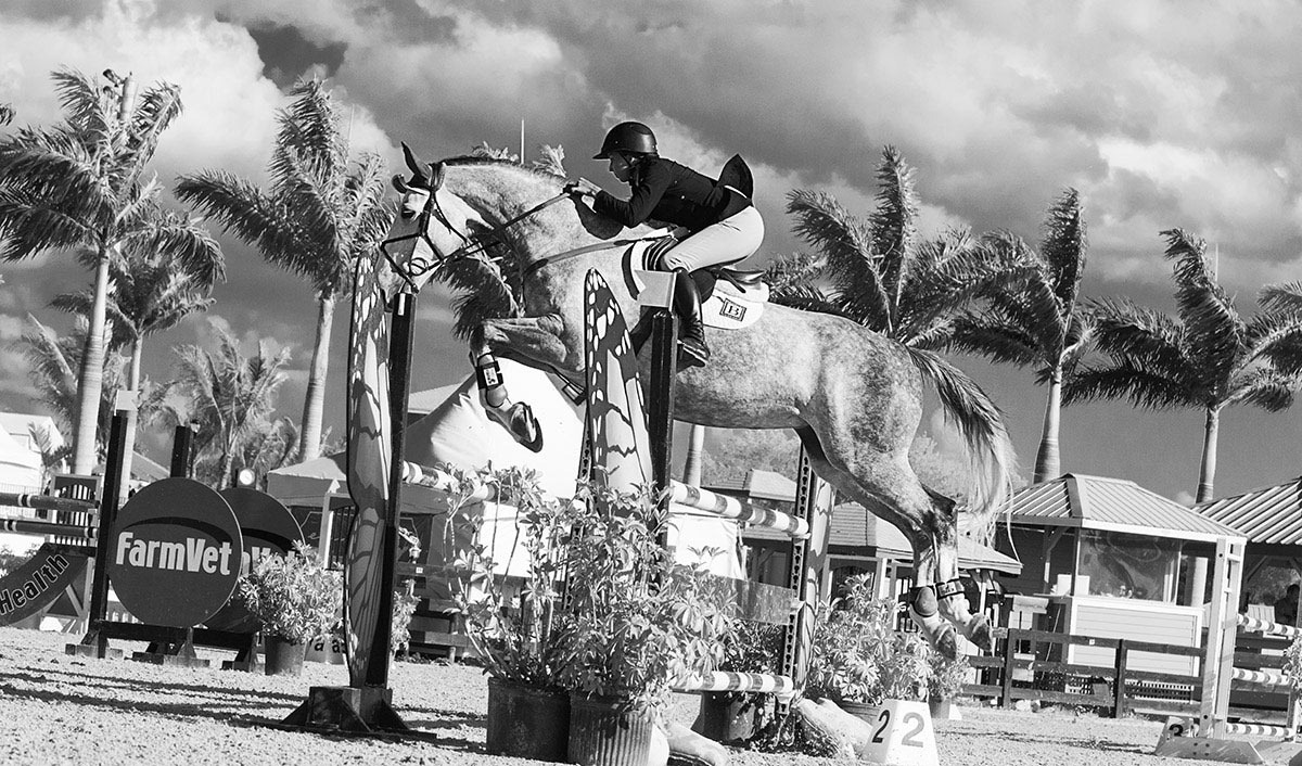 photographe equestre cso oise